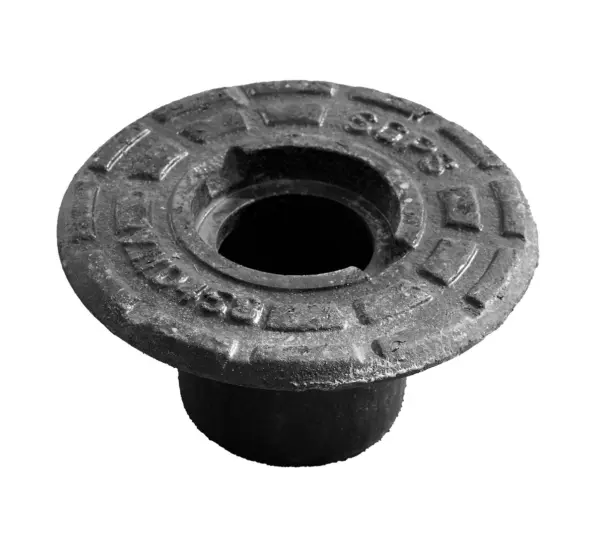 Valve cap SGPS