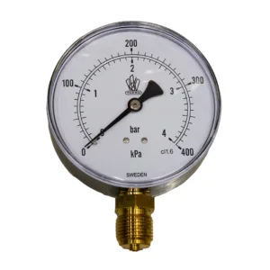Pressure gauge 0-10 bar 100