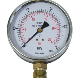 Pressure gauge 1.6 MPa 100
